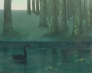 Le cygne noir, 1896